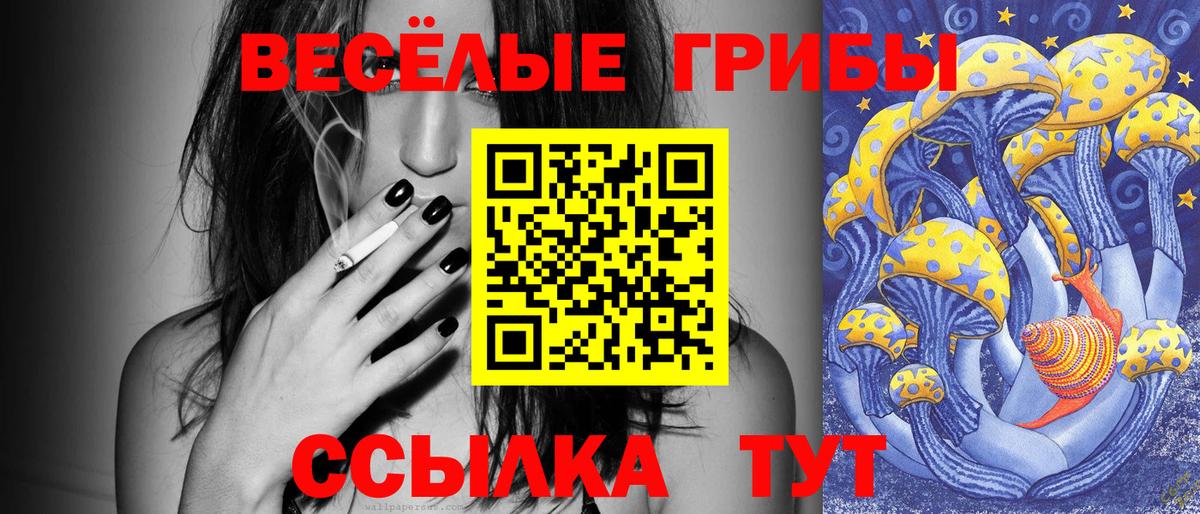 Слободской  Псилоцибиновые грибы мухоморы  Галлюциногенные грибы Psilocybe  Вход с VPN 