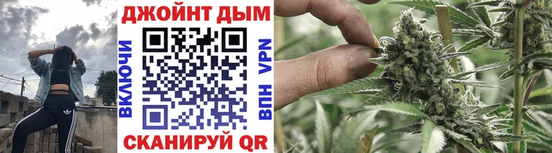 купить   Слободской  Канабис сатива 